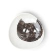 Miya Company Black Cat 5-1/2" Plate | Plates