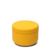 Miya Company Tea Canister Petite Yellow 30G | Teaware Accessories