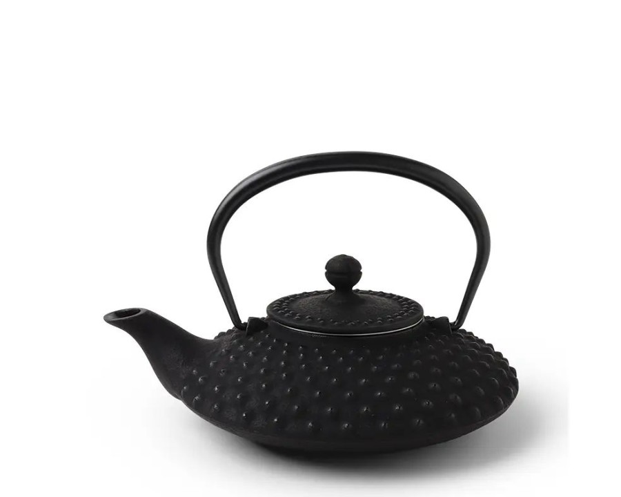 Miya Company Cast Iron Teapot Flat Hailstone 0.5L | Teapots - Cast Iron