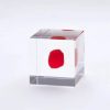 Miya Company Sola Cube Huayruro Seed | Desk Accessories