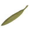 Miya Company Incense Holder Gold/Spring Grass Leaf | Incense